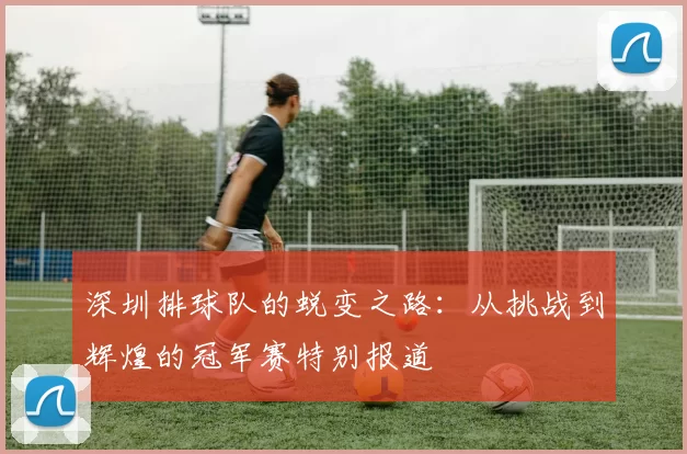 深圳排球队的蜕变之路：从挑战到辉煌的冠军赛特别报道