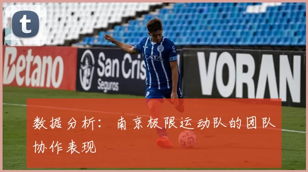 数据分析：南京极限运动队的团队协作表现