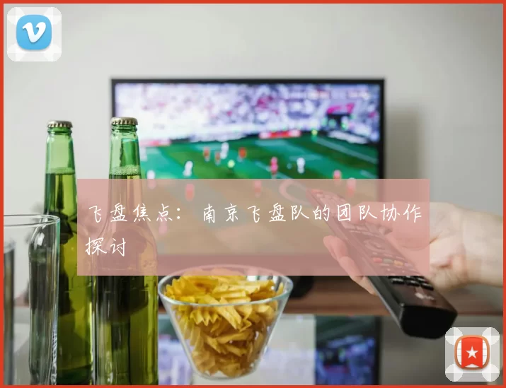 飞盘焦点：南京飞盘队的团队协作探讨