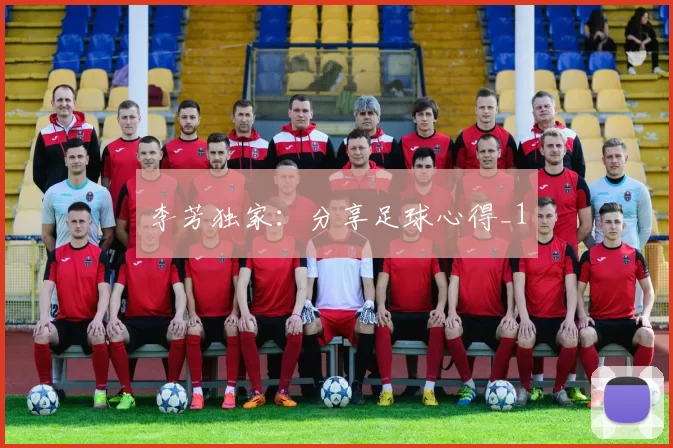 李芳独家：分享足球心得_1