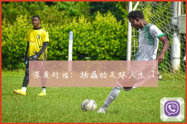 深度对话：杨磊的足球人生_1