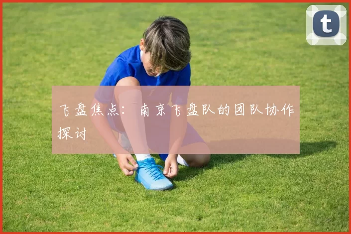 飞盘焦点：南京飞盘队的团队协作探讨