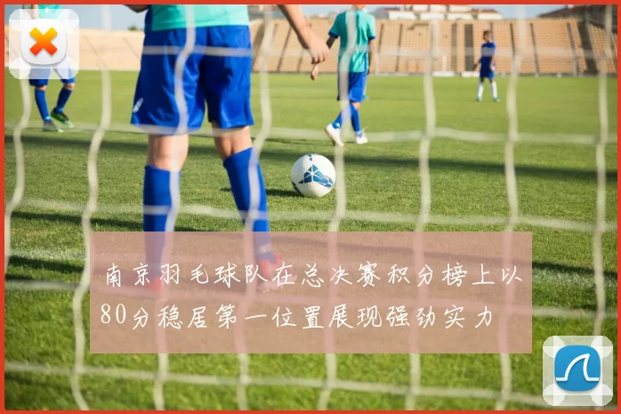 南京羽毛球队在总决赛积分榜上以80分稳居第一位置展现强劲实力