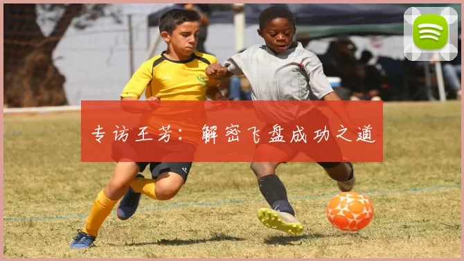 专访王芳：解密飞盘成功之道