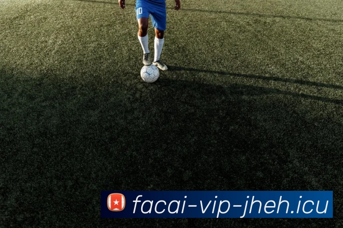 开云体育平台生态图