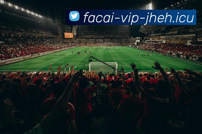 开云体育APP 封面图